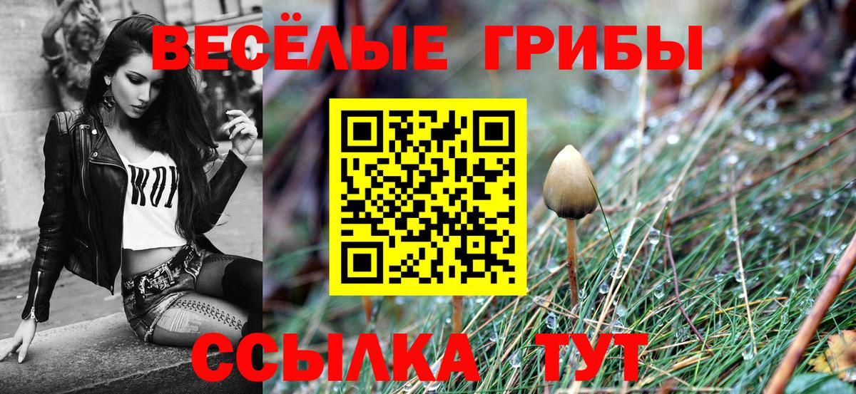 Ялуторовск  Псилоцибиновые грибы Magic Shrooms  Вход с VPN 
